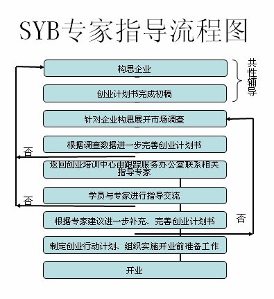 SYB专家指导流程图